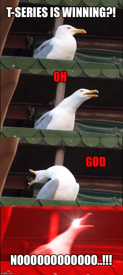 Inhaling Seagull | T-SERIES IS WINNING?! OH; GOD; NOOOOOOOOOOOO..!!! | image tagged in memes,inhaling seagull | made w/ Imgflip meme maker