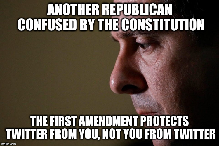 The First Amendment protects free speech from government interference | ANOTHER REPUBLICAN CONFUSED BY THE CONSTITUTION; THE FIRST AMENDMENT PROTECTS TWITTER FROM YOU, NOT YOU FROM TWITTER | image tagged in humor,devin nunes,twitter,constituion,first amendment | made w/ Imgflip meme maker