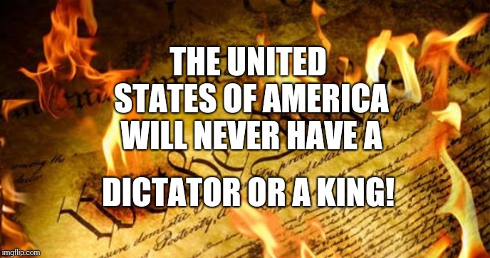 A House Divided By A False King | THE UNITED STATES OF AMERICA WILL NEVER HAVE A; DICTATOR OR A KING! | image tagged in constitution in flames,trump unfit unqualified dangerous,memes,lock him up,liar in chief,us constitution | made w/ Imgflip meme maker