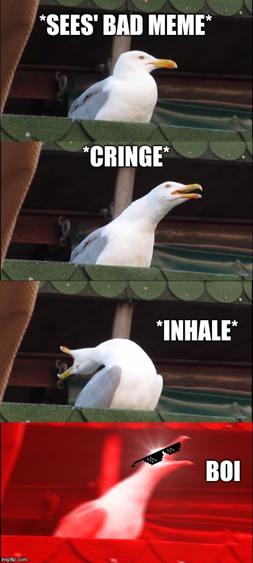 Inhaling Seagull Meme | *SEES' BAD MEME*; *CRINGE*; *INHALE*; BOI | image tagged in memes,inhaling seagull | made w/ Imgflip meme maker