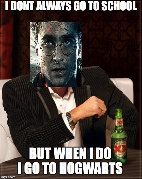 The Most Interesting Man In The World | I DONT ALWAYS GO TO SCHOOL; BUT WHEN I DO I GO TO HOGWARTS | image tagged in memes,the most interesting man in the world | made w/ Imgflip meme maker