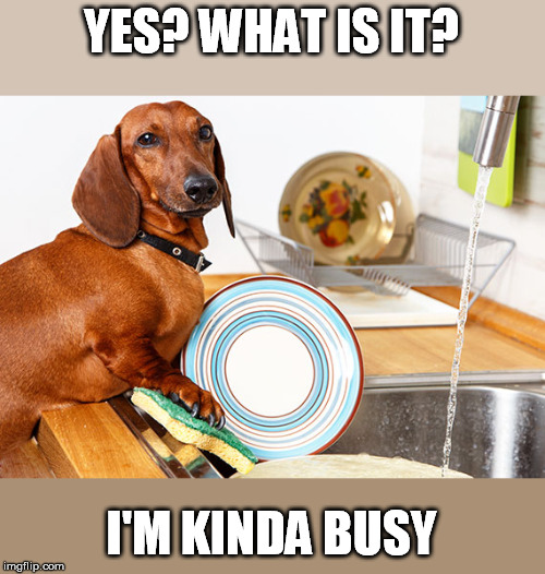 YES? WHAT IS IT? I'M KINDA BUSY | made w/ Imgflip meme maker