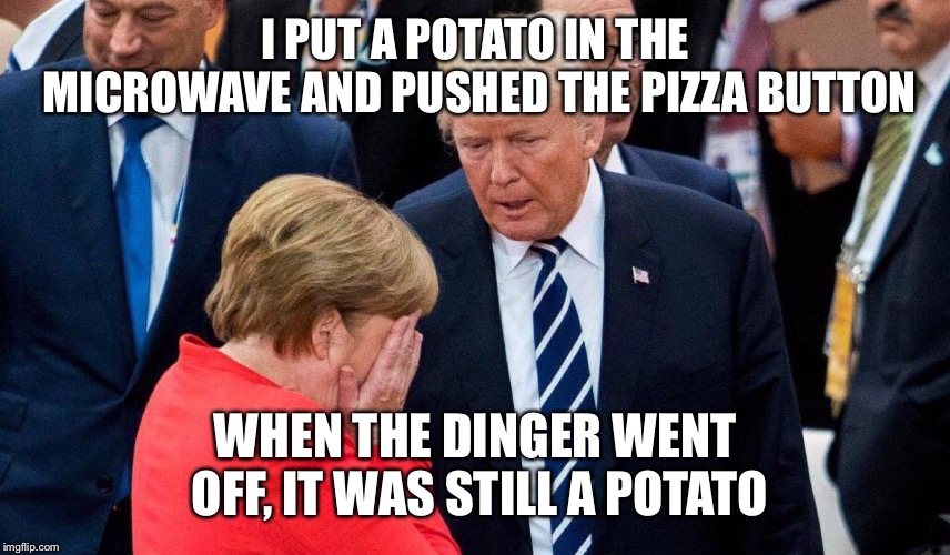 Trump and Merkle | I PUT A POTATO IN THE MICROWAVE AND PUSHED THE PIZZA BUTTON; WHEN THE DINGER WENT OFF, IT WAS STILL A POTATO | image tagged in trump and merkle,memes | made w/ Imgflip meme maker