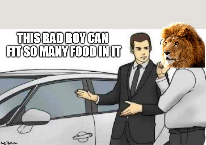 Car Salesman Slaps Roof Of Car Meme | THIS BAD BOY CAN FIT SO MANY FOOD IN IT | image tagged in memes,car salesman slaps roof of car | made w/ Imgflip meme maker