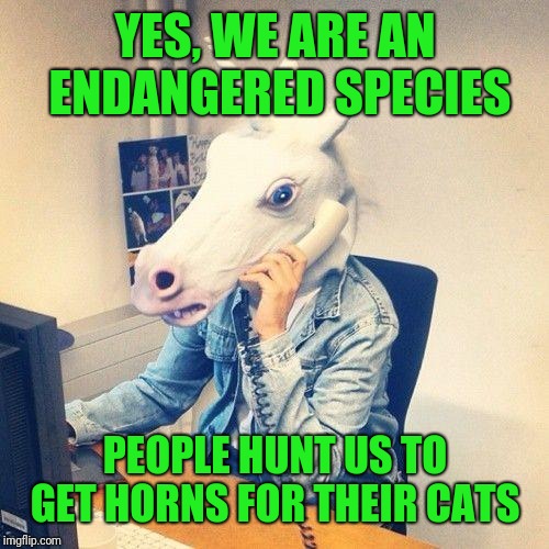 Unicorn Phone | YES, WE ARE AN ENDANGERED SPECIES PEOPLE HUNT US TO GET HORNS FOR THEIR CATS | image tagged in unicorn phone | made w/ Imgflip meme maker