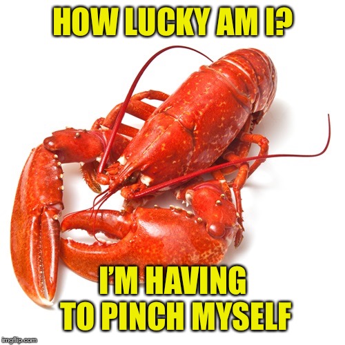 Lobster | HOW LUCKY AM I? I’M HAVING TO PINCH MYSELF | image tagged in lobster | made w/ Imgflip meme maker