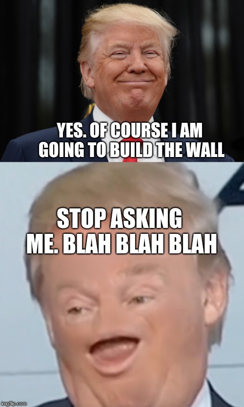 WALL | YES. OF COURSE I AM GOING TO BUILD THE WALL; STOP ASKING ME. BLAH BLAH BLAH | image tagged in donald trump,mexico wall | made w/ Imgflip meme maker