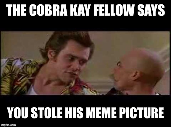 thanks for free parking | THE COBRA KAY FELLOW SAYS YOU STOLE HIS MEME PICTURE | image tagged in thanks for free parking | made w/ Imgflip meme maker