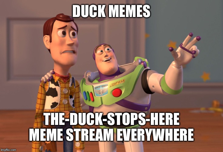 X, X Everywhere Meme | DUCK MEMES; THE-DUCK-STOPS-HERE MEME STREAM EVERYWHERE | image tagged in memes,x x everywhere | made w/ Imgflip meme maker