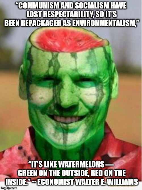 Mush heads. | “COMMUNISM AND SOCIALISM HAVE LOST RESPECTABILITY, SO IT’S BEEN REPACKAGED AS ENVIRONMENTALISM,”; “IT’S LIKE WATERMELONS — GREEN ON THE OUTSIDE, RED ON THE INSIDE.” ~ ECONOMIST WALTER E. WILLIAMS | image tagged in watermelon guy,communist socialist | made w/ Imgflip meme maker