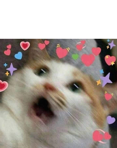 High Quality Cat in love Blank Meme Template