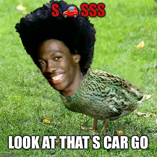 Duckith Wheatith | S 🚗 SSS; LOOK AT THAT S CAR GO | image tagged in duckith wheatith | made w/ Imgflip meme maker
