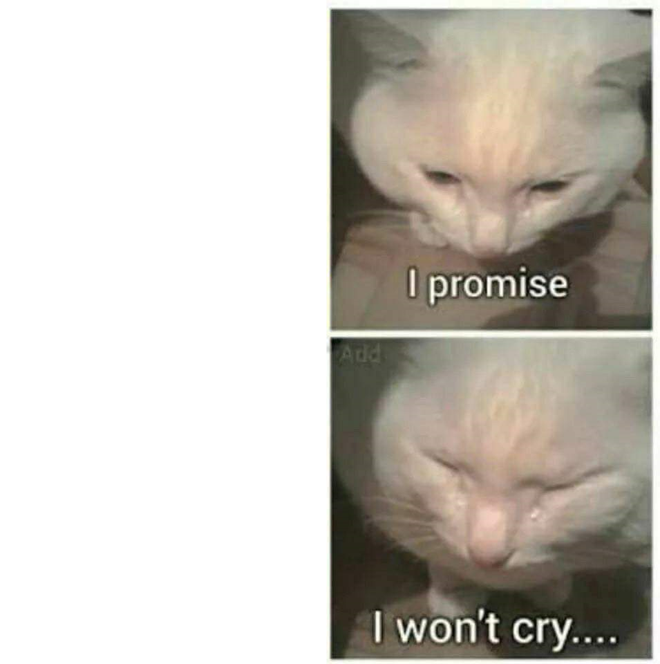 I promise I won't cry Blank Meme Template