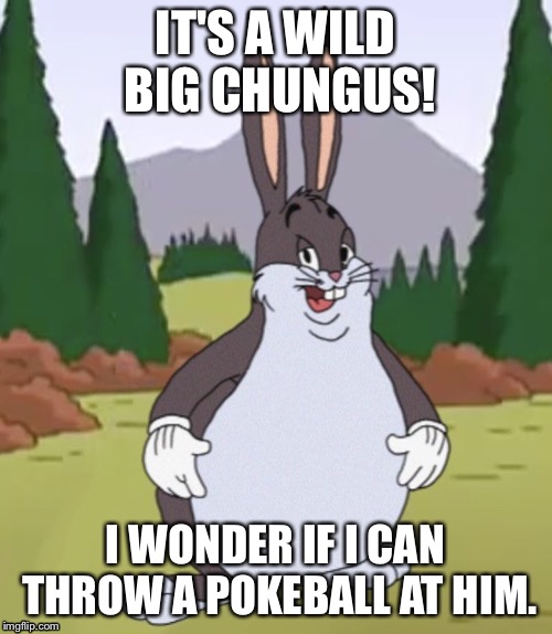 Big chungus | IT'S A WILD BIG CHUNGUS! I WONDER IF I CAN THROW A POKEBALL AT HIM. | made w/ Imgflip meme maker