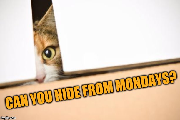 CAN YOU HIDE FROM MONDAYS? | made w/ Imgflip meme maker