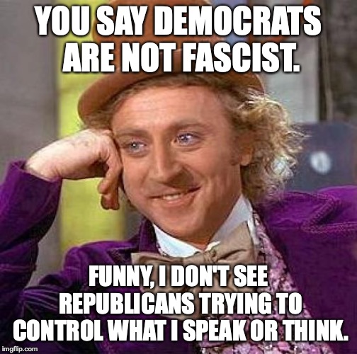 Democrats can find evil everywhere they look, except in the mirror. | YOU SAY DEMOCRATS ARE NOT FASCIST. FUNNY, I DON'T SEE REPUBLICANS TRYING TO CONTROL WHAT I SPEAK OR THINK. | image tagged in 2019,fascist,lies,hypocrites | made w/ Imgflip meme maker