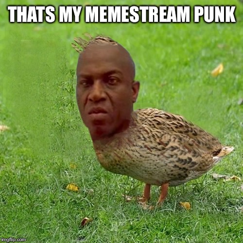 Deebo Duck - coolbullshit | THATS MY MEMESTREAM PUNK | image tagged in deebo duck - coolbullshit | made w/ Imgflip meme maker