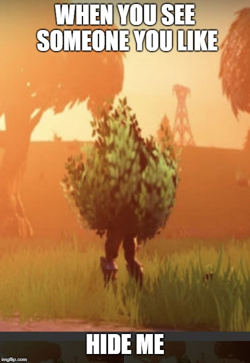 Fortnite bush | WHEN YOU SEE SOMEONE YOU LIKE; HIDE ME | image tagged in fortnite bush | made w/ Imgflip meme maker