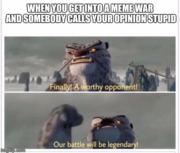 Finally! A worthy opponent! | WHEN YOU GET INTO A MEME WAR AND SOMEBODY CALLS YOUR OPINION STUPID | image tagged in finally a worthy opponent | made w/ Imgflip meme maker