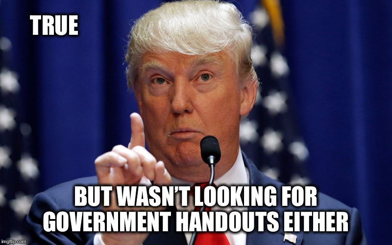 TRUE BUT WASN’T LOOKING FOR GOVERNMENT HANDOUTS EITHER | made w/ Imgflip meme maker