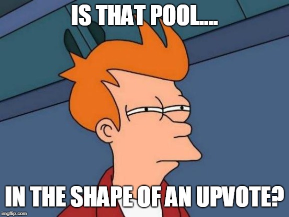 Futurama Fry Meme | IS THAT POOL.... IN THE SHAPE OF AN UPVOTE? | image tagged in memes,futurama fry | made w/ Imgflip meme maker