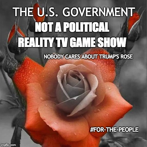 Refreshing Clarity | THE U.S. GOVERNMENT; NOT A POLITICAL; REALITY TV GAME SHOW; NOBODY CARES ABOUT TRUMP'S ROSE; #FOR-THE-PEOPLE | image tagged in politics,psychology,united states,government,reality check,common sense | made w/ Imgflip meme maker