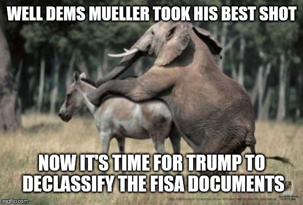 WELL DEMS MUELLER TOOK HIS BEST SHOT; NOW IT'S TIME FOR TRUMP TO DECLASSIFY THE FISA DOCUMENTS | made w/ Imgflip meme maker