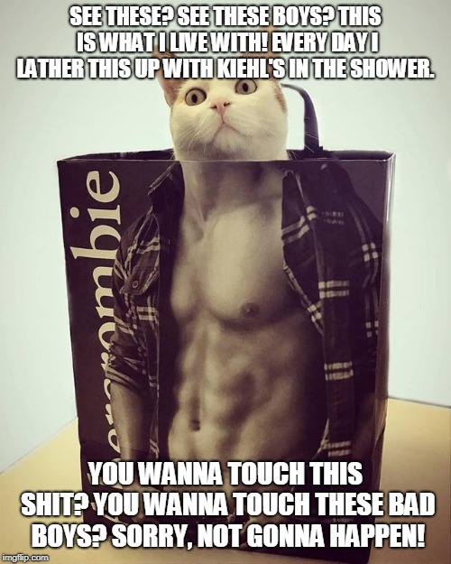 Lather them badboys up with some kale | SEE THESE? SEE THESE BOYS? THIS IS WHAT I LIVE WITH! EVERY DAY I LATHER THIS UP WITH KIEHL'S IN THE SHOWER. YOU WANNA TOUCH THIS SHIT? YOU WANNA TOUCH THESE BAD BOYS? SORRY, NOT GONNA HAPPEN! | image tagged in abs,memes,funny memes,cats | made w/ Imgflip meme maker