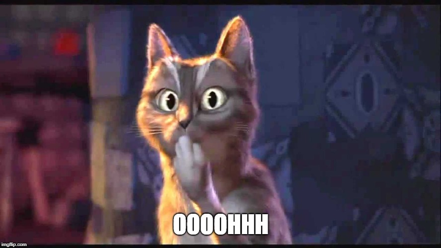 Oooh Cat | OOOOHHH | image tagged in oooh cat | made w/ Imgflip meme maker