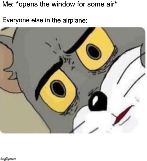 Guys, I just need some air… | Me: *opens the window for some air*; Everyone else in the airplane: | image tagged in tom and jerry meme,memes,funny,tom and jerry,windows,airplane | made w/ Imgflip meme maker