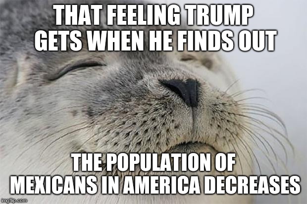 Satisfied Seal | THAT FEELING TRUMP GETS WHEN HE FINDS OUT; THE POPULATION OF MEXICANS IN AMERICA DECREASES | image tagged in memes,satisfied seal | made w/ Imgflip meme maker