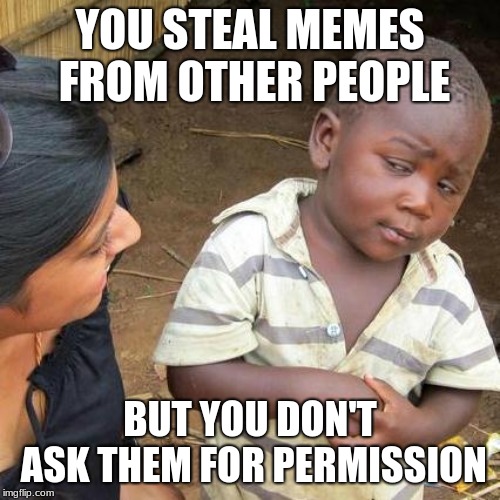 Third World Skeptical Kid Meme | YOU STEAL MEMES FROM OTHER PEOPLE; BUT YOU DON'T ASK THEM FOR PERMISSION | image tagged in memes,third world skeptical kid | made w/ Imgflip meme maker