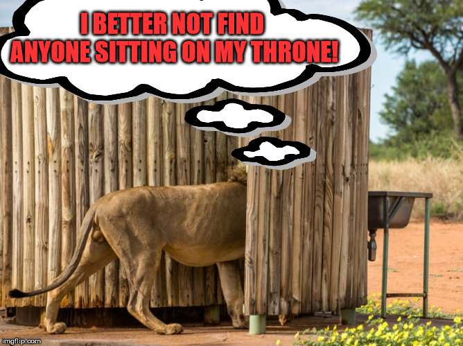 The king of the jungle wants his throne to himself | I BETTER NOT FIND ANYONE SITTING ON MY THRONE! | image tagged in funny meme,lion king,game of thrones,lion | made w/ Imgflip meme maker