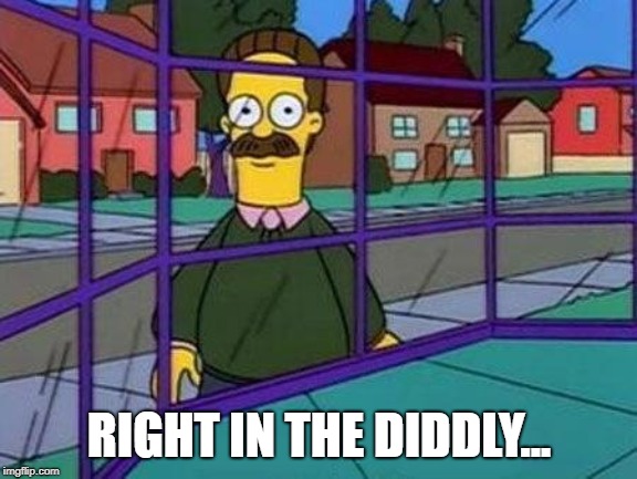 Creepy Flanders | RIGHT IN THE DIDDLY... | image tagged in creepy flanders | made w/ Imgflip meme maker