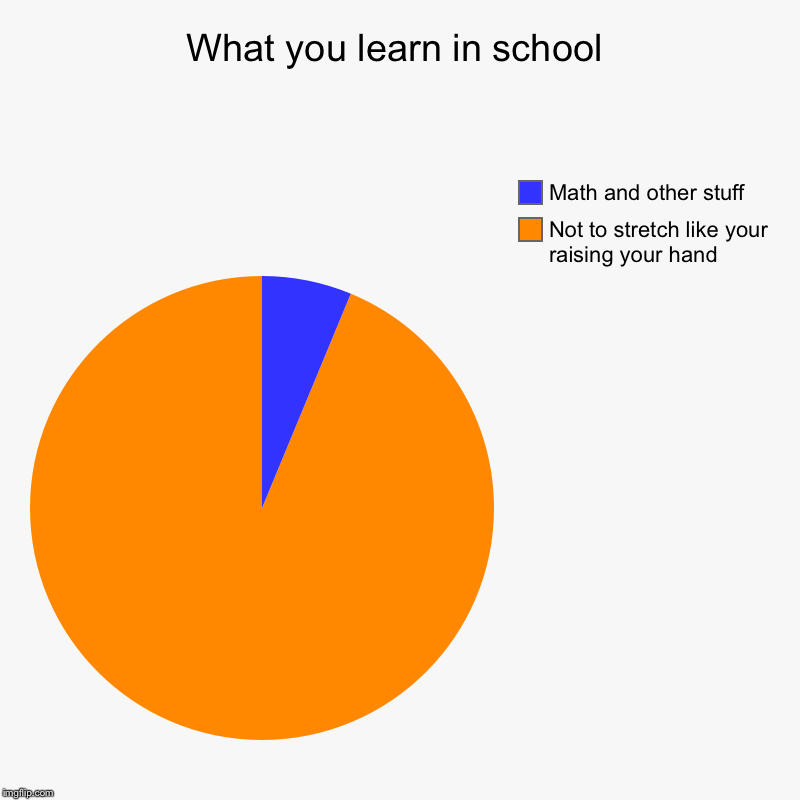 What you learn in school | Not to stretch like your raising your hand, Math and other stuff | image tagged in charts,pie charts | made w/ Imgflip chart maker
