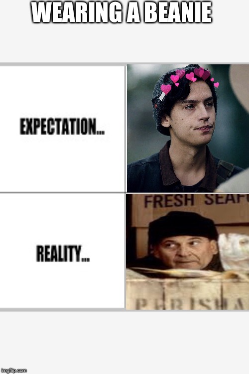 WEARING A BEANIE | image tagged in expectation vs reality | made w/ Imgflip meme maker