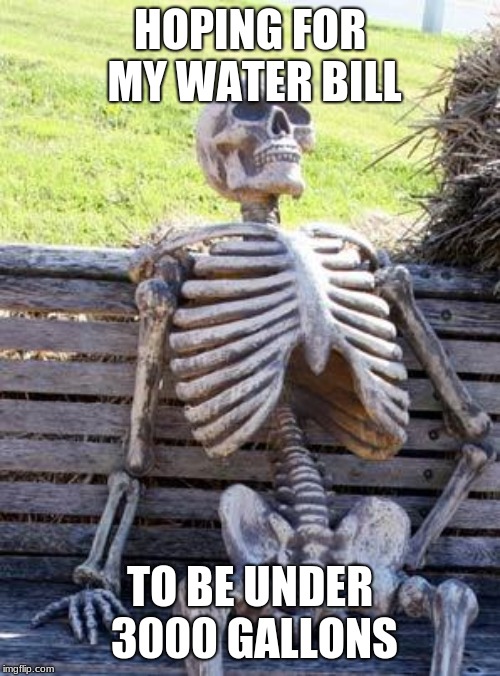 When, I ask When | HOPING FOR MY WATER BILL; TO BE UNDER 3000 GALLONS | image tagged in memes,waiting skeleton | made w/ Imgflip meme maker