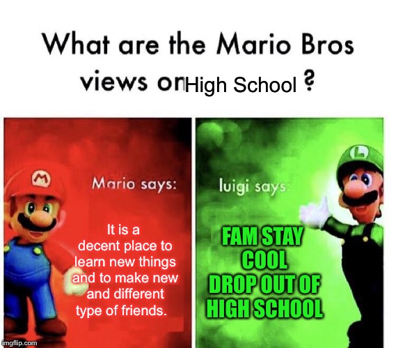 Mario Bros Views | High School; It is a decent place to learn new things and to make new and different type of friends. FAM STAY COOL DROP OUT OF HIGH SCHOOL | image tagged in mario bros views,memes,funny,school,class,dropout | made w/ Imgflip meme maker