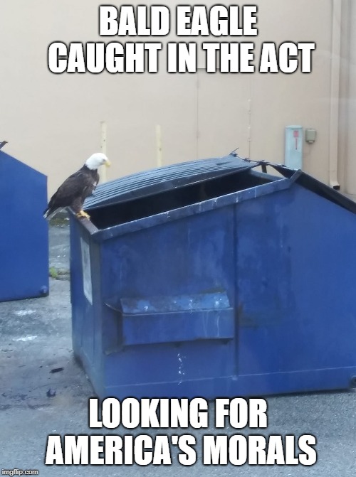BALD EAGLE CAUGHT IN THE ACT; LOOKING FOR AMERICA'S MORALS | image tagged in politics,meme,bald eagle,trash can,morality,current events | made w/ Imgflip meme maker