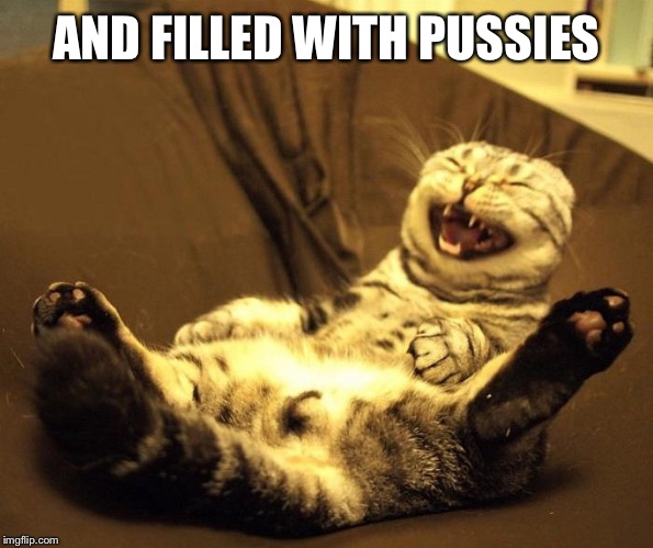 laughing cat | AND FILLED WITH PUSSIES | image tagged in laughing cat | made w/ Imgflip meme maker