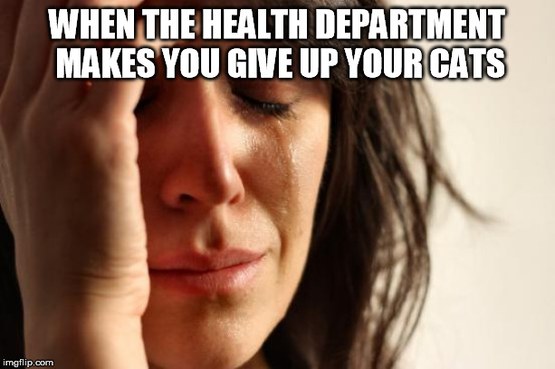 First World Problems | WHEN THE HEALTH DEPARTMENT MAKES YOU GIVE UP YOUR CATS | image tagged in memes,first world problems | made w/ Imgflip meme maker