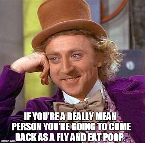 Creepy Condescending Wonka Meme | IF YOU’RE A REALLY MEAN PERSON YOU’RE GOING TO COME BACK AS A FLY AND EAT POOP. | image tagged in memes,creepy condescending wonka | made w/ Imgflip meme maker