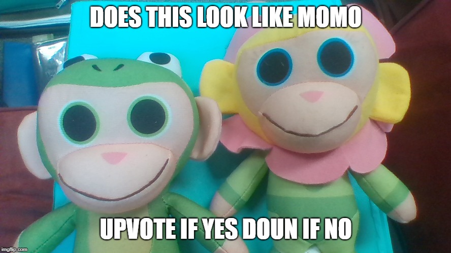 DOES THIS LOOK LIKE MOMO; UPVOTE IF YES DOUN IF NO | image tagged in memes | made w/ Imgflip meme maker