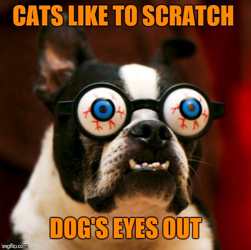 44colt's Meme Template Challenge March 18-24 (A 44colt event) Follow the link in the comments below for, templates, and info :) | CATS LIKE TO SCRATCH; DOG'S EYES OUT | image tagged in sudden clarity dog,funny memes,cats,44colt's meme challenge,44colt,dogs | made w/ Imgflip meme maker