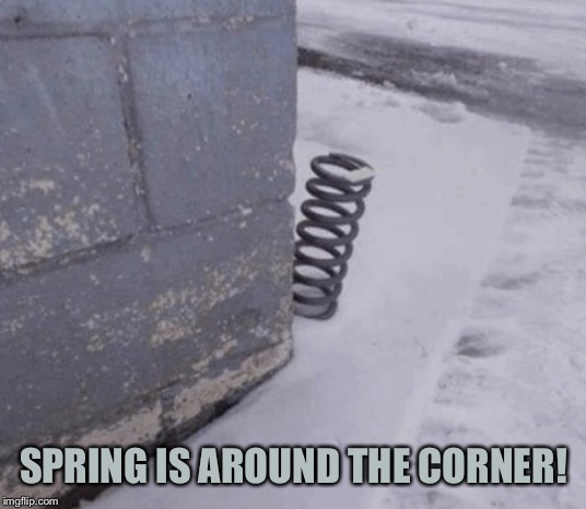 SPRING IS AROUND THE CORNER! | image tagged in memes,spring | made w/ Imgflip meme maker