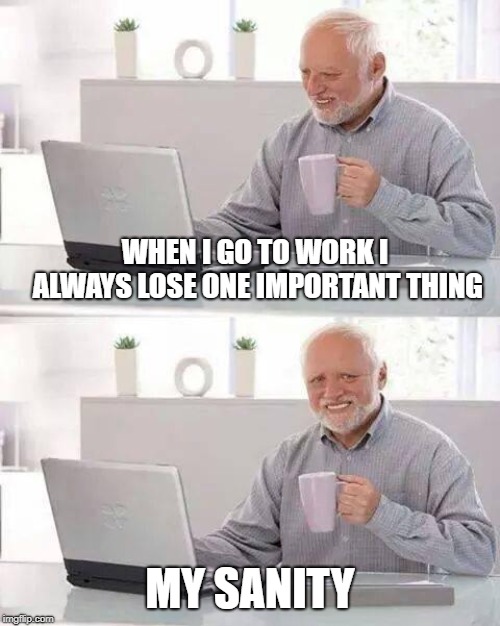 Lose | WHEN I GO TO WORK I ALWAYS LOSE ONE IMPORTANT THING; MY SANITY | image tagged in memes,hide the pain harold,sanity | made w/ Imgflip meme maker
