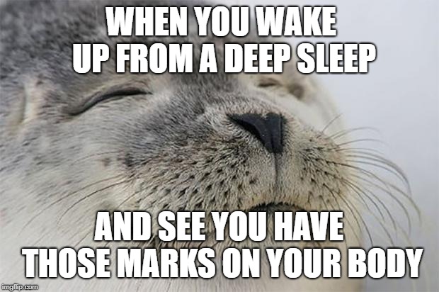 One of the best types of sleep | WHEN YOU WAKE UP FROM A DEEP SLEEP; AND SEE YOU HAVE THOSE MARKS ON YOUR BODY | image tagged in memes,satisfied seal,funny,sleep | made w/ Imgflip meme maker