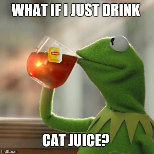 But That's None Of My Business Meme | WHAT IF I JUST DRINK CAT JUICE? | image tagged in memes,but thats none of my business,kermit the frog | made w/ Imgflip meme maker