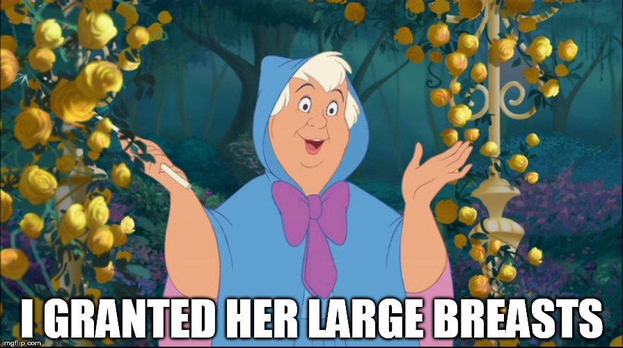 She now has pumpkins | I GRANTED HER LARGE BREASTS | image tagged in cinderella fairy godmother | made w/ Imgflip meme maker