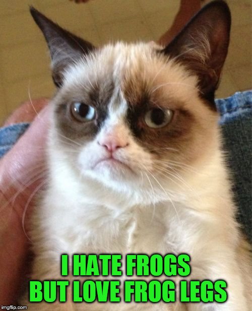 Grumpy Cat Meme | I HATE FROGS BUT LOVE FROG LEGS | image tagged in memes,grumpy cat | made w/ Imgflip meme maker